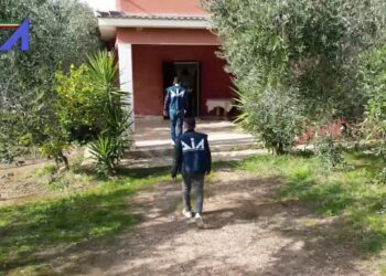 Dia Foggia Sequestro