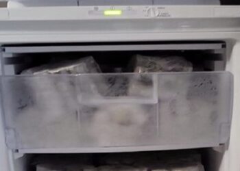 Droga Frigo