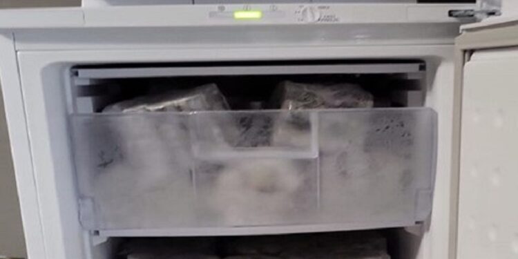 Droga Frigo