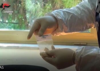 Fentanyl Nas