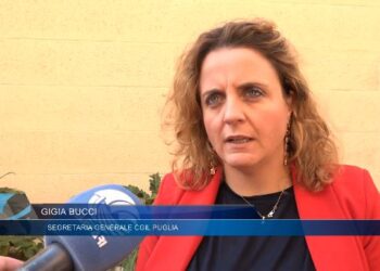Gigia Bucci