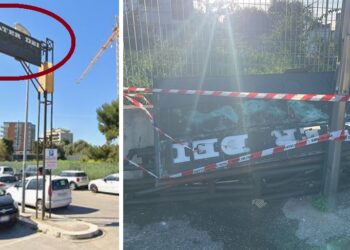 Mater Dei Insegna