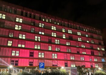 Ospedale San Paolo Rosa1