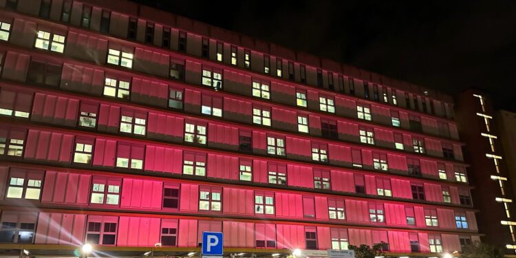 Ospedale San Paolo Rosa1