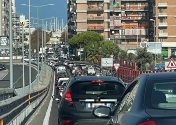 Ponte Adriatico Traffico