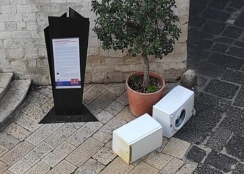 Rifiuti Barivecchia