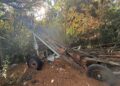 04 11 24 In Occasione Della Campagna Nazionale Fai Per Il Clima Il 9 Novembre Apertura Straordinaria Del Vecchio Vivaio Comunale 4
