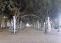 Conversano Natale Prime Istallazioni (3)