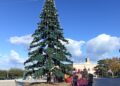 Conversano Natale Prime Istallazioni (6)