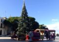 Conversano Natale Prime Istallazioni (7)