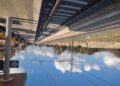 Gallery Cellulare&treno (14)