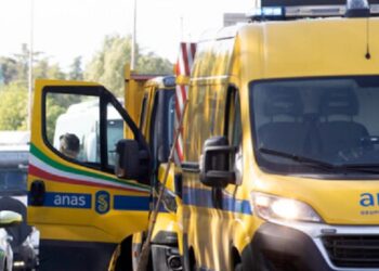 Anas Incidente Repertorio