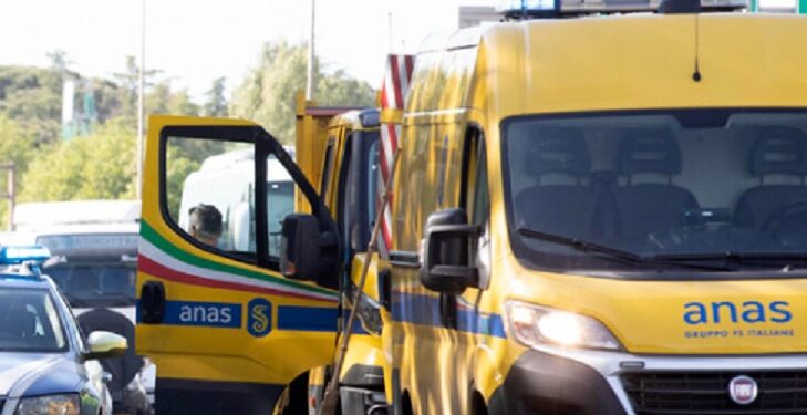 Anas Incidente Repertorio