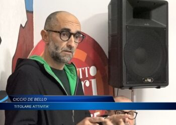 Ciccio