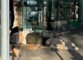 Clochard Fuori Da Un Negozio In Pieno Centro