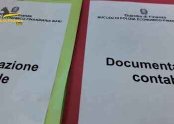 Finanza Documentazione Contabile Gdf