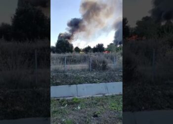 Fuoco