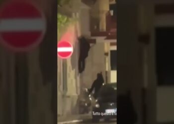 Giovinazzo, Due ‘topi D’appartamento’ In Fuga Dalla Grondaia: Il Filmato Diventa Virale – Video