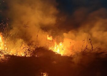 Incendio Torre Guaceto