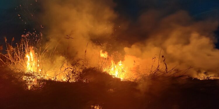 Incendio Torre Guaceto