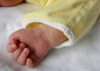 Neonato Ansa