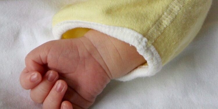 Neonato Ansa