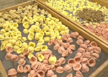 Orecchiette Di “origine Comunale” (d.e.c.o.), Il Marchio Per Regolarizzare La Vendita A Barivecchia – Video