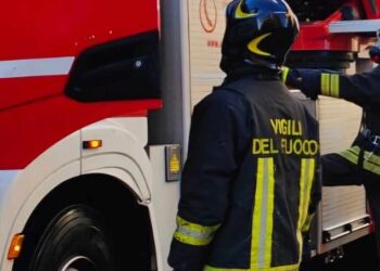Vigili Del Fuoco 3