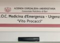 Vito Procacci (2)