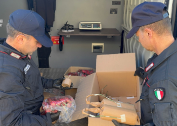 Altamura Maxi Sequestro Di Fuochi D’artificio. Due Arresti