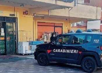 Carab