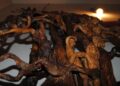 Giuseppe Vittore Scultore 2024 (18)