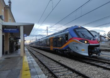 Nuovo Treno Elettrico Fse