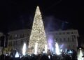 Albero Amgas 2