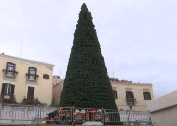 Albero Natale 2024