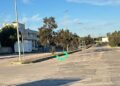 Gatto Ostuni2