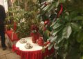 Natale A Palo (2)