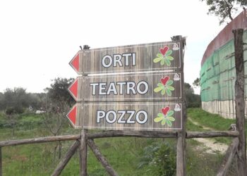 Orto Domingo