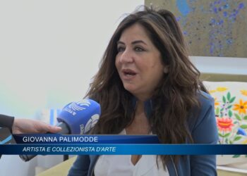 Palimodde