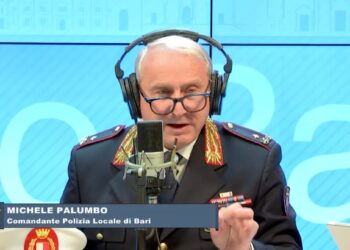 Palumbo