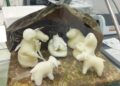 Presepe