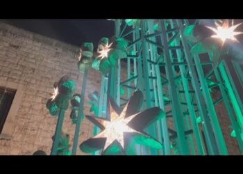 Putignano, Ecco Il Grande Albero Di Natale In Cartapesta: è Illuminato Da 64 Lanterne ‘stellari’ – Video