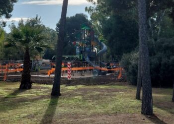 10 01 25 Finanziato Orto Urbano Nella Pineta San Francesco