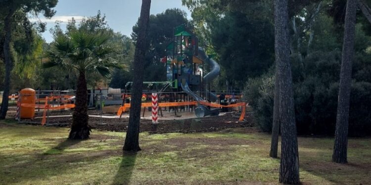 10 01 25 Finanziato Orto Urbano Nella Pineta San Francesco