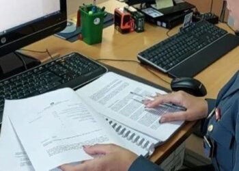 10012025 085545 10.01.2025 Reddito Di Cittadinanza