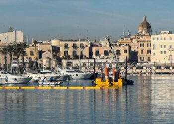 22 01 25 In Corso Interventi Pulizia E Rimozione Corpi Morti Fondali Porto Vecchio 1