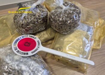 Sequestro droga Monopoli