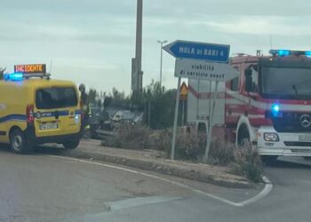Incidente Ss163