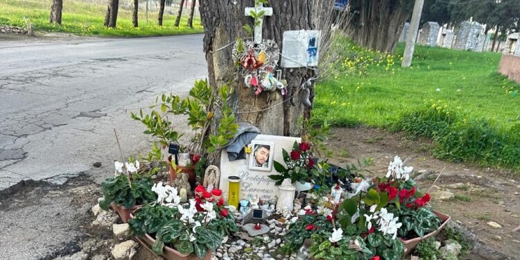 Albero Incidente Brindisi