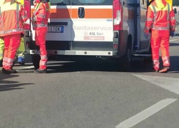 Ambulanza Incidente Statale Giorno